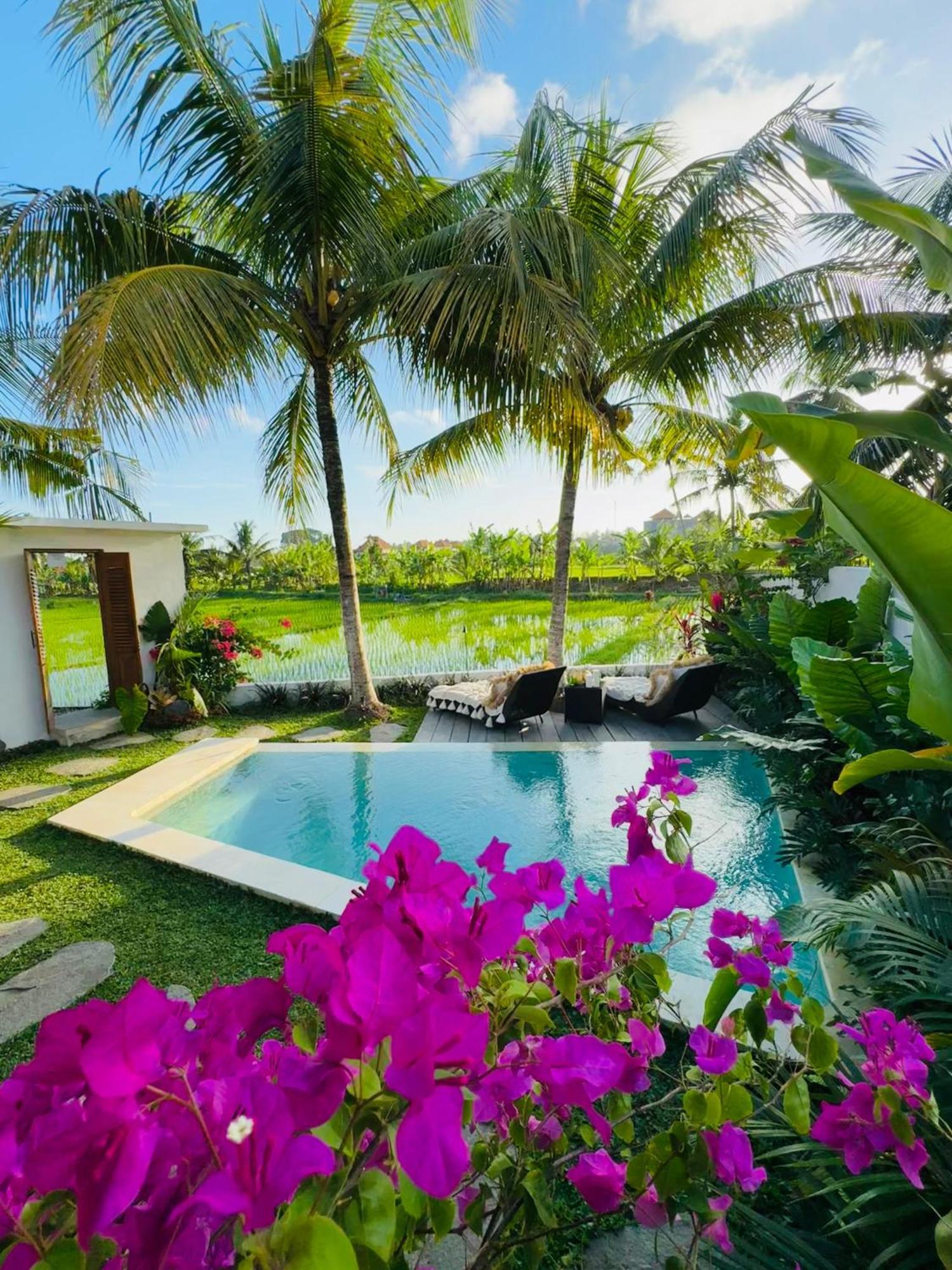 Villa Amara De'Vue Rice-Field Panoramic View W Pool Ig Ubud Exteriör bild